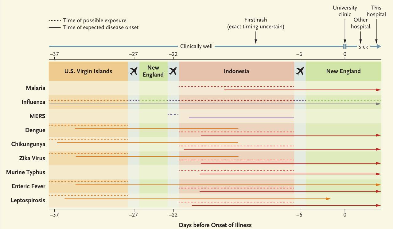 同人动漫母 或制作动画剪辑(MAD/AMV)