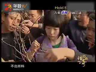 蜜桃tv网址 网址钓鱼链接或病毒