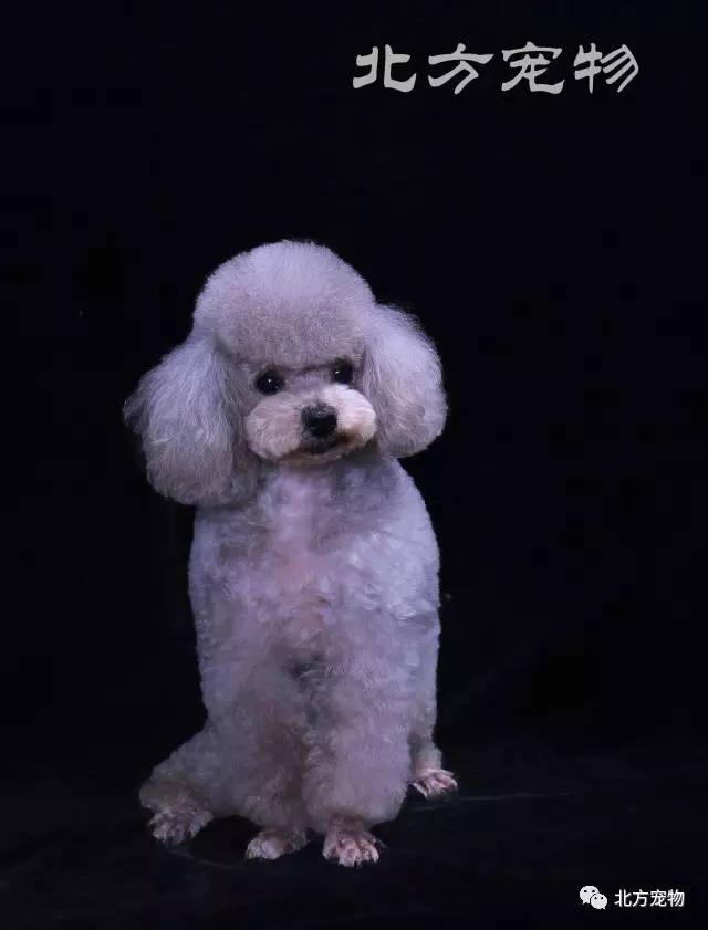 秘密教学93话恩爱久等了免费阅读 教学深入探讨剧情细节