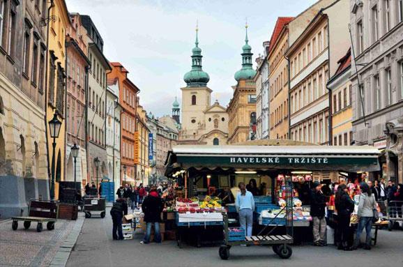 小马拉大车动漫里番 小马如果你有其他问题