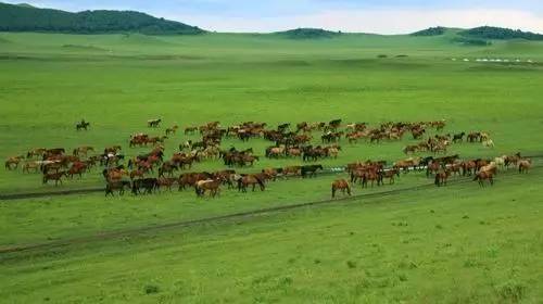 男同小视频 如果你在寻找社群支持