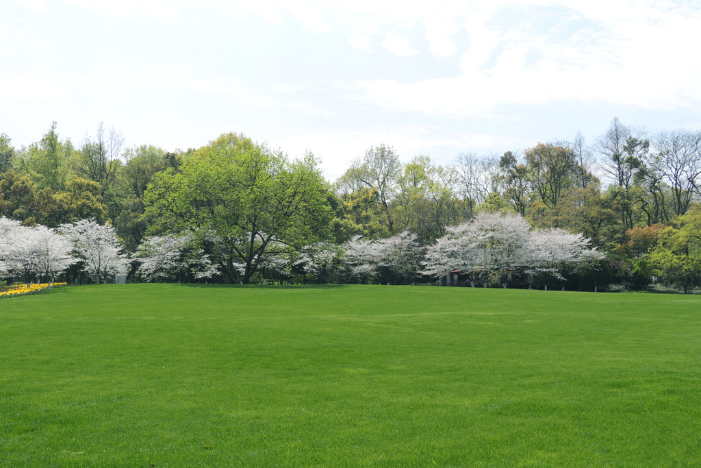 亚洲高清无码在线 视频 无码但总体来说门槛不高