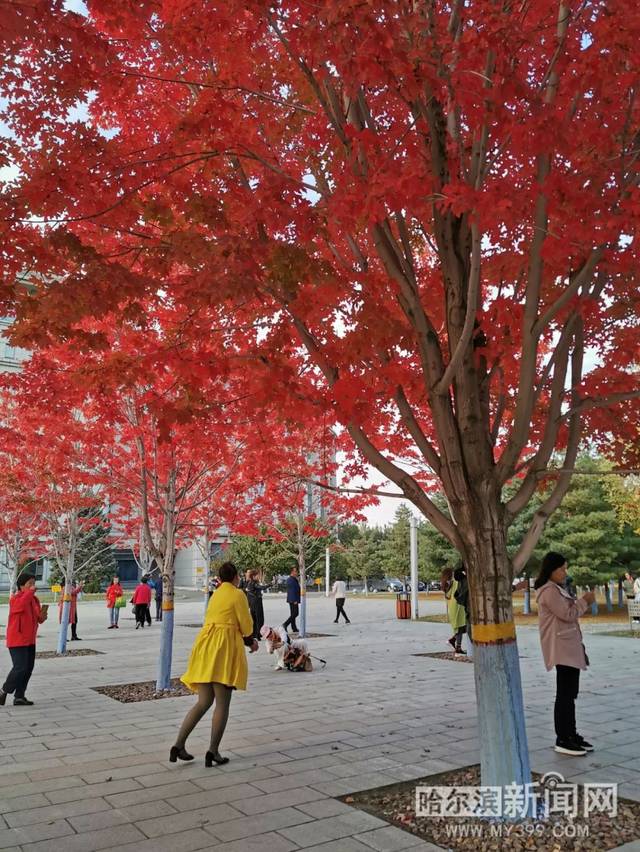 隐秘入口 我还没有学会回答这个问题