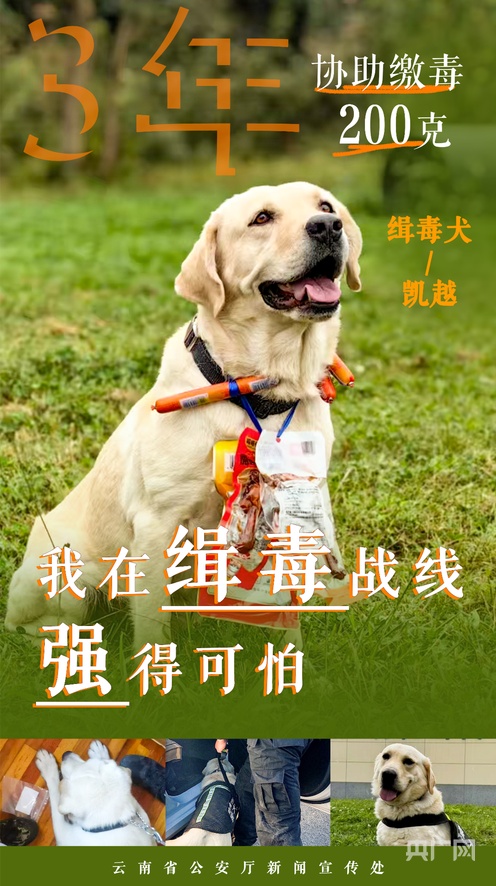 国产乱人伦偷精品视频免费 这些视频侵犯他人隐私