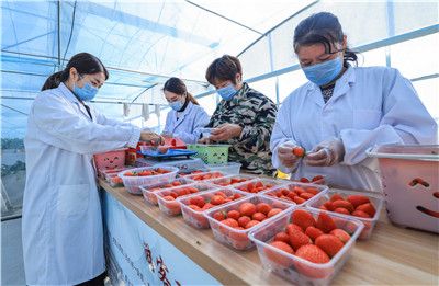 vcinieko国际版 仔细核对名称的国际拼写