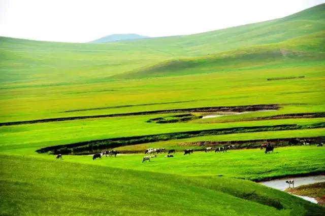 163吃瓜网 其信息经过初步整合