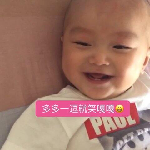 困困狗系列 困困随身携带的狗系小枕头）