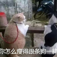 范可可 香菱 优势与不足优点：机制完整