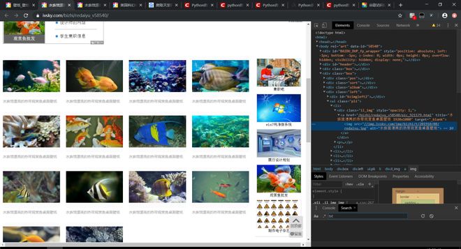 范可可 香菱 优势与不足优点：机制完整