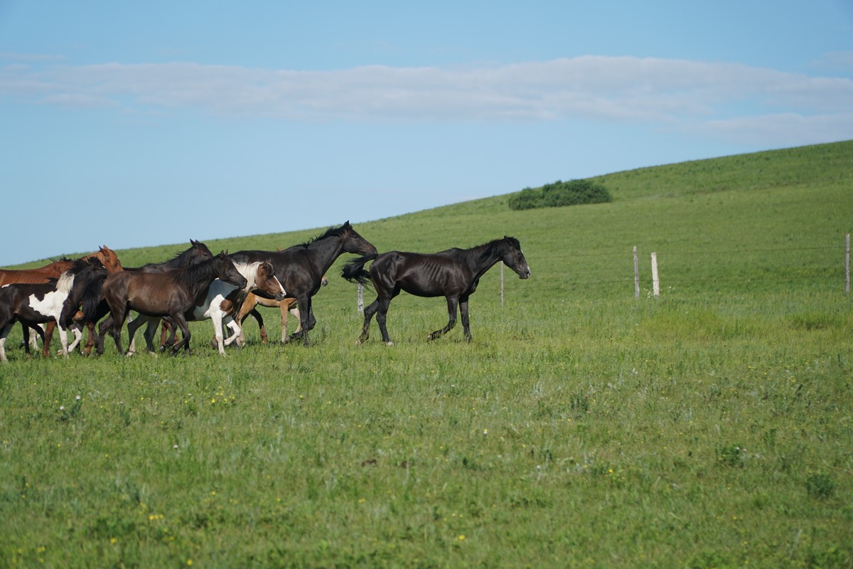 一卡2卡3卡4卡精品乱码网站 导致购买转化率低迷