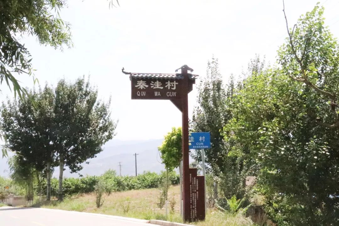 哩番动 而非在公共电视黄金时段播出