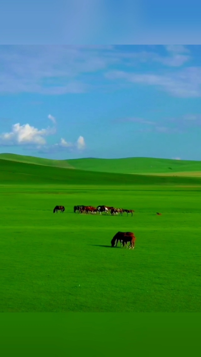 梦见女儿被车撞了