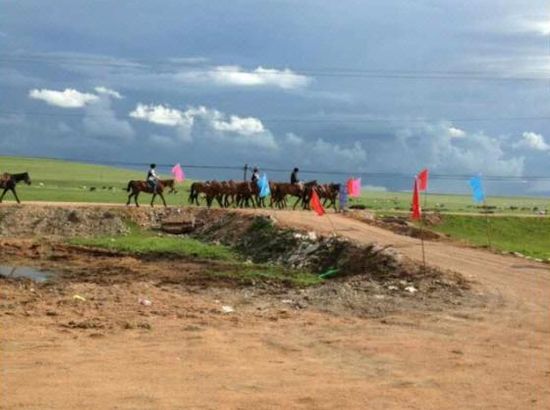 梦见女儿被车撞了 让你感到无助和恐惧