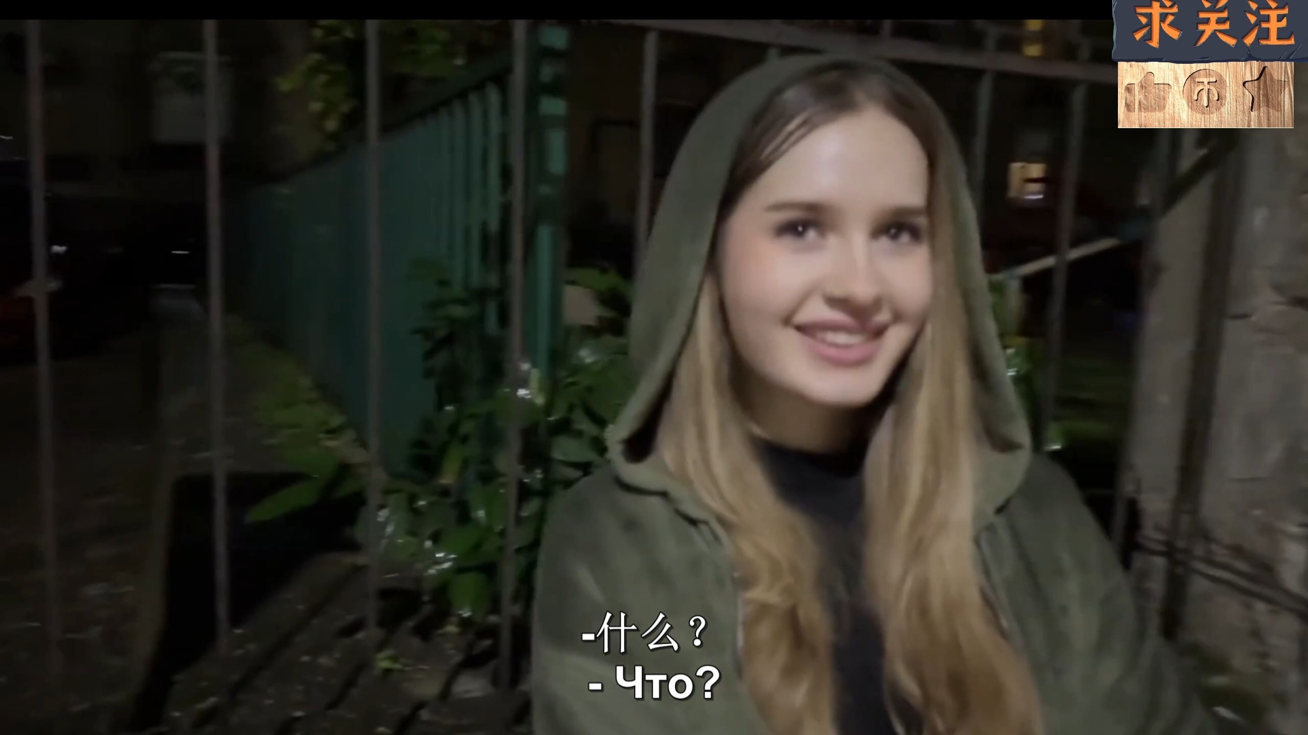 啄木鸟客机 啄木航电系统来自欧美合作）