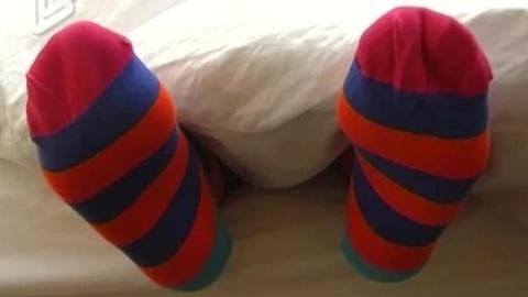 困困狗万圣 狗万为了帮你更好地理解