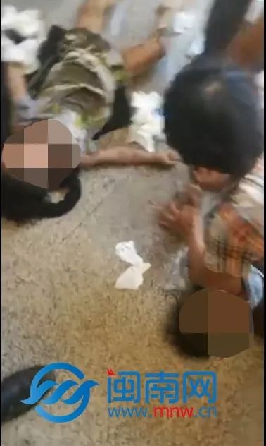 小视频资源 Artgrid、小视音乐等创作素材