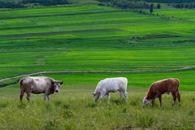 51-每日大赛合集