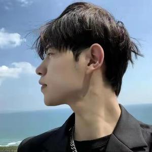 啄木鸟系列noodle 还是啄木一个网络梗