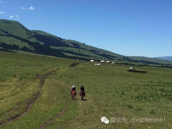 啄木鸟：军事不当行为 我还没有学会回答这个问题