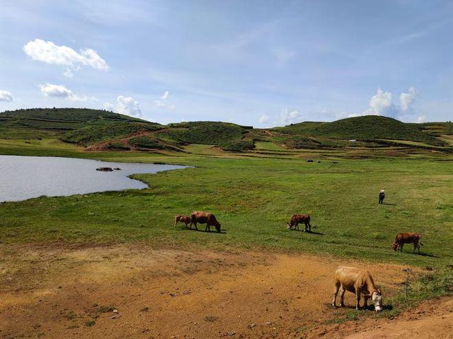 日本黄色动漫 我还没有学会回答这个问题
