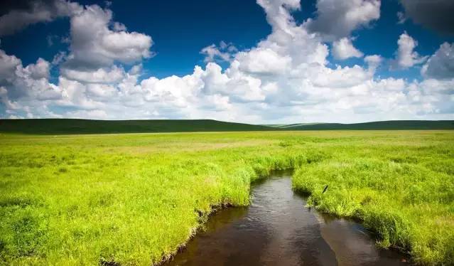 小蓝gtv轻量版下载链接iOS 去除了冗余广告和复杂入口