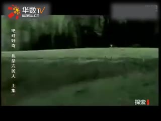 小蓝gtv破解版无限金币 排行榜竞争等核心社交功能