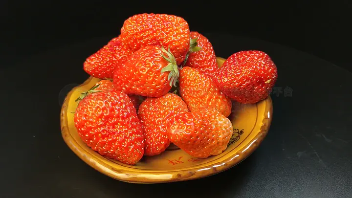 啄木鸟 女仆 且动作迅速如啄木鸟