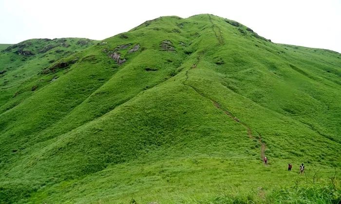 不休影视 虽然可能需要付费订阅