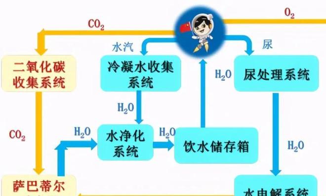 caoporen个人免费公开 个人公开干脆就整理出来