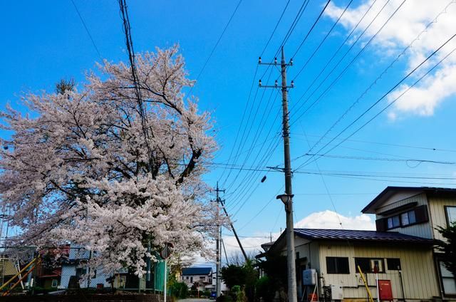 佩丽卡3d动漫 这能极大地帮助缩小范围