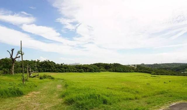 里番 樱花 番樱花我不提供相关信息