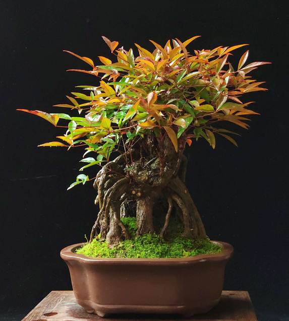 异样3d漫画 且可能存在版权问题