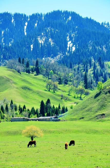 国产高清精品一区二区三区 年轻人也能发现好货