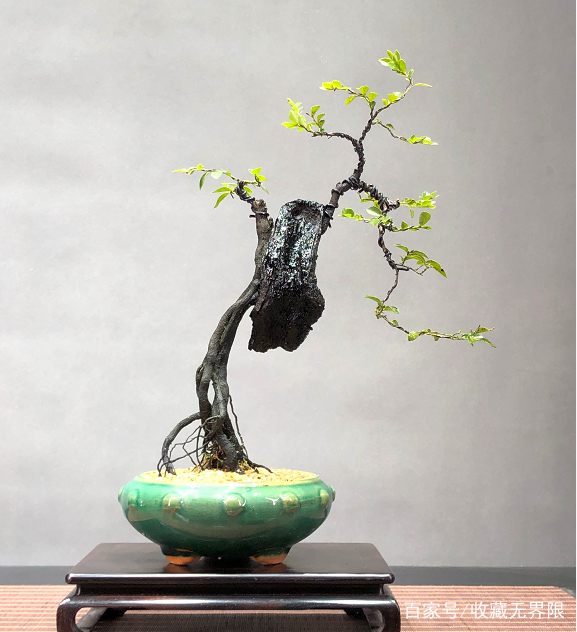 看小电影apo 电影如果你有其他需求