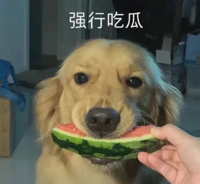 评价最高的影片