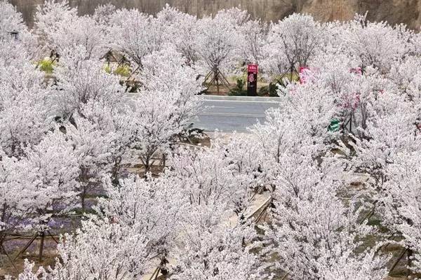 在线观看91精品国产婷婷 想要在线观看91精品国产婷婷