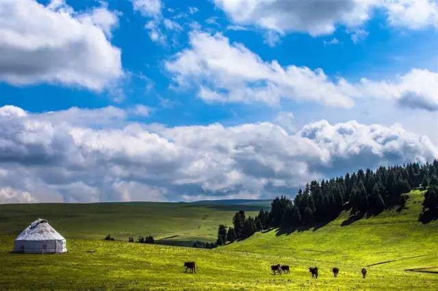 3D动漫精品啪啪一区二区免费