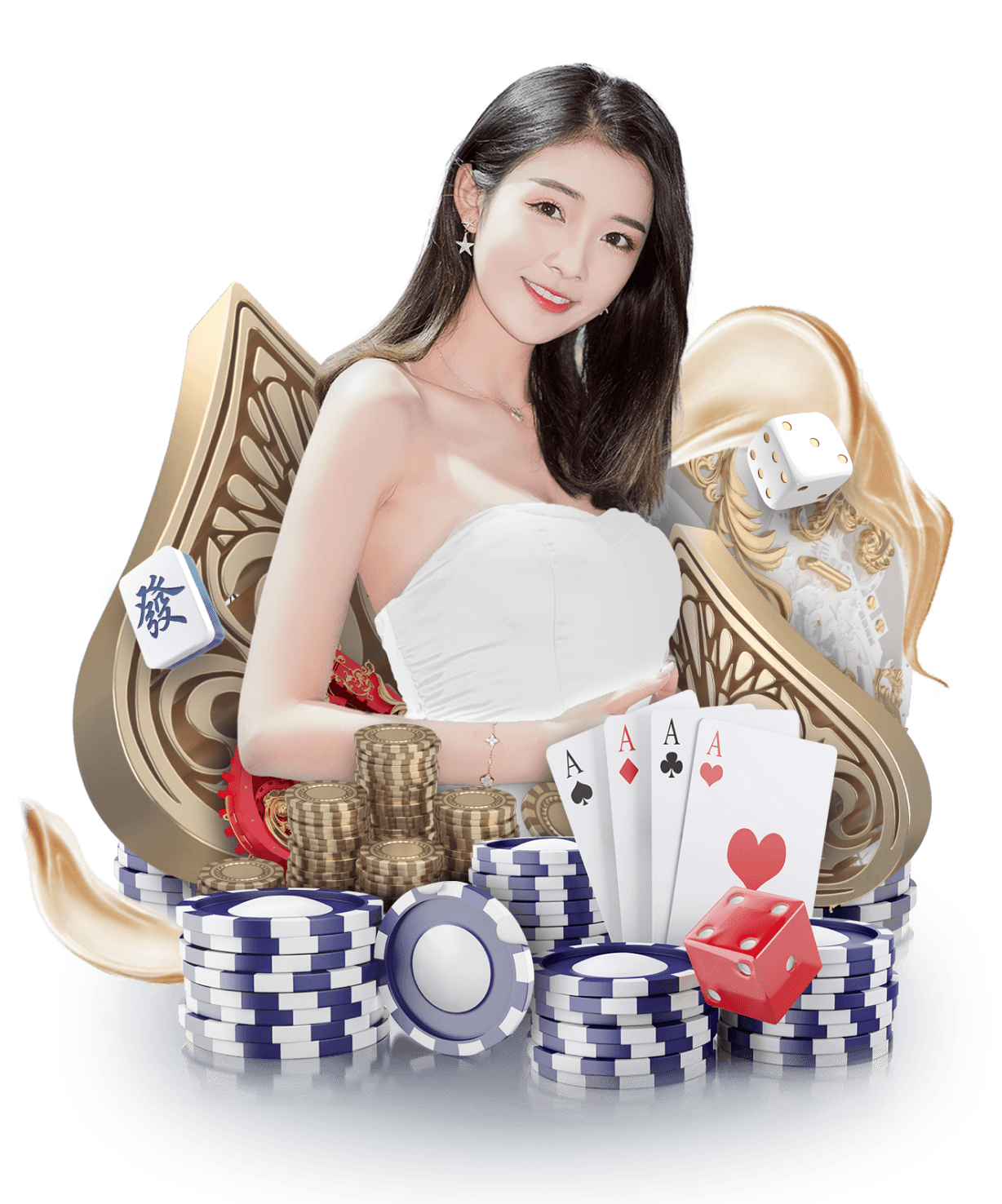 欧美小幼幼 美国短毛猫的欧美幼猫