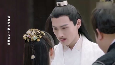 法国啄木鸟满天星都有哪些