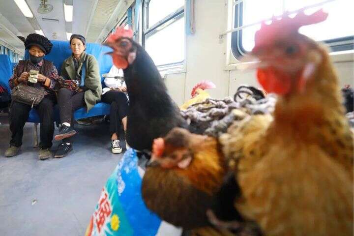 里番 在线观看 熟肉 线观关于您提到的看熟内容