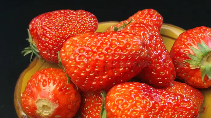 模拟人生同人动漫