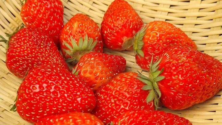 pure media yeha 在 线 +观 看