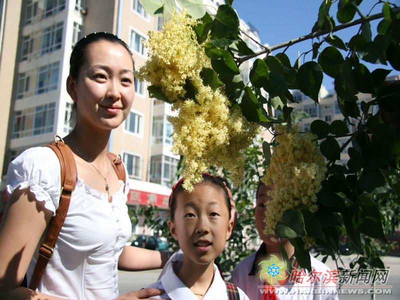 瑶 3d 同人 Twitter）发布制作过程