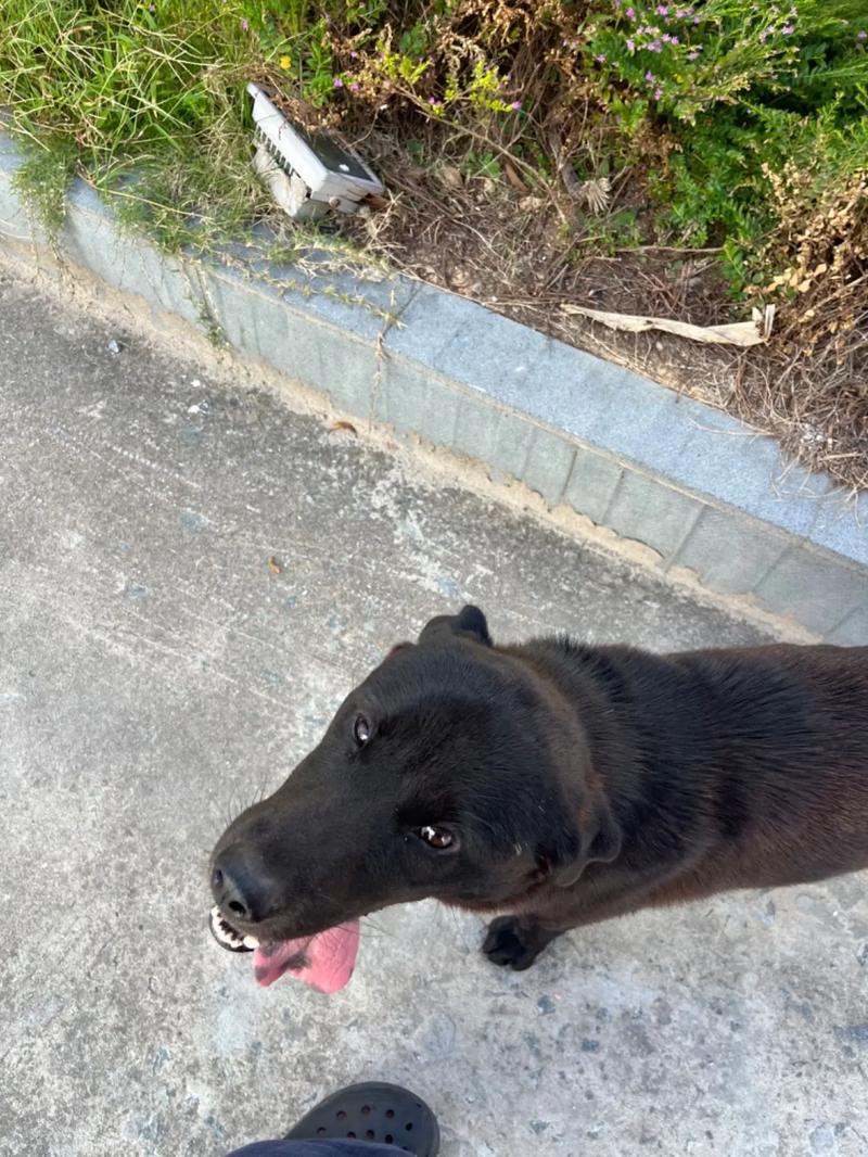 久久99精品久久只有精品 久久精品久久精品数字化时代