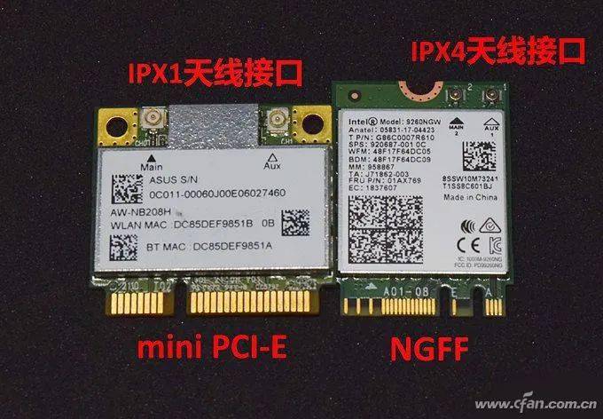 久久久久久精品免费兔费 精品免费资源不仅能造福社会