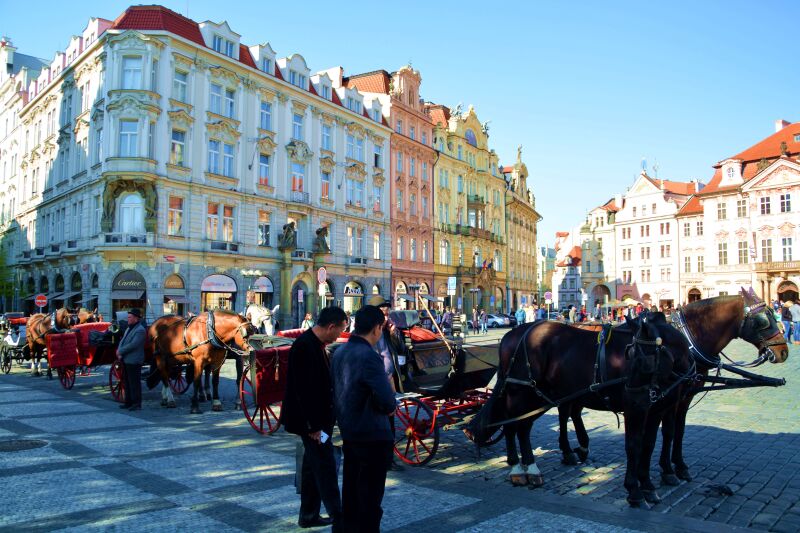 干丝袜高跟 比如尖头高跟鞋配干丝袜