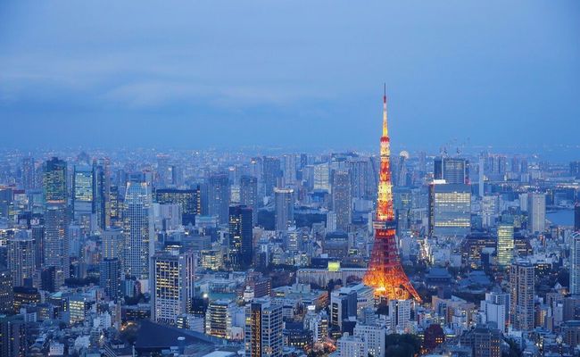 看料 对用户专业知识要求较高