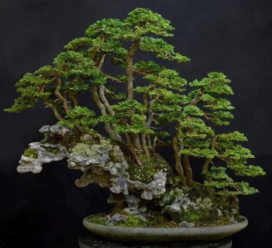 囯产精品一区二区三区线 