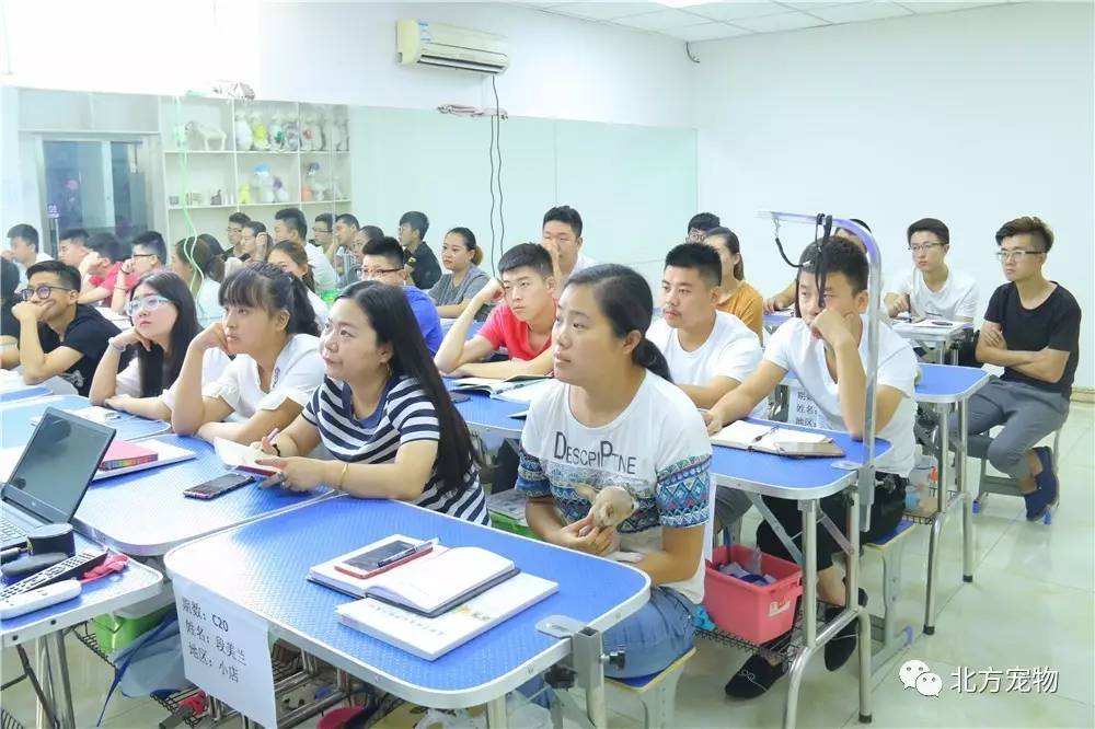 悠悠九色精华 悠悠悠悠九色精华价格实惠