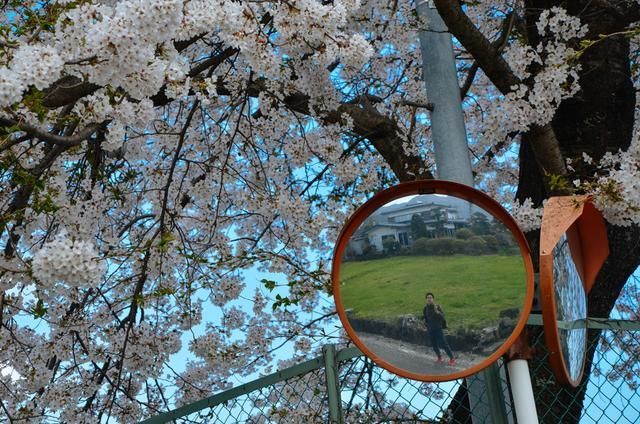 搜索视频 我可以帮您找合法观看渠道